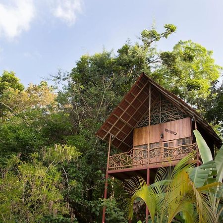 Bio Thermales Hot Springs Palmera Exterior foto
