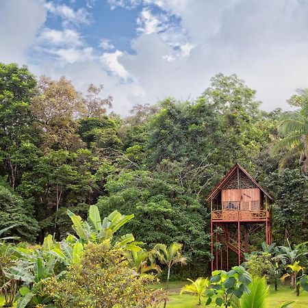 Bio Thermales Hot Springs Palmera Exterior foto