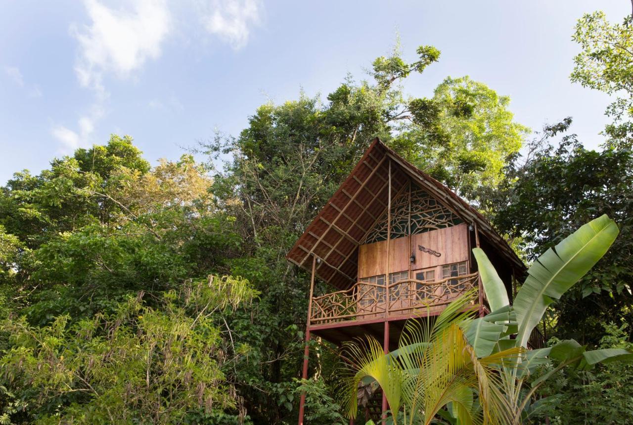 Bio Thermales Hot Springs Palmera Exterior foto