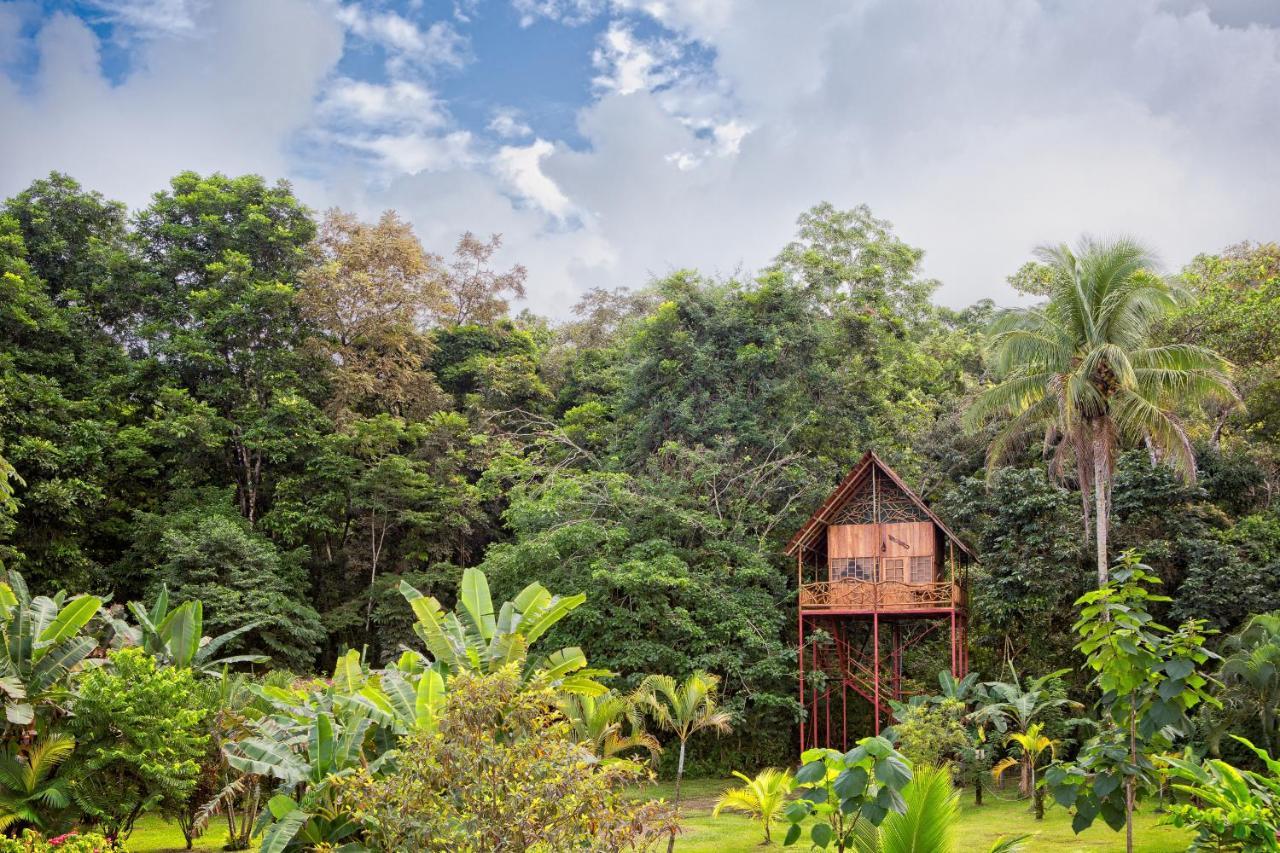 Bio Thermales Hot Springs Palmera Exterior foto