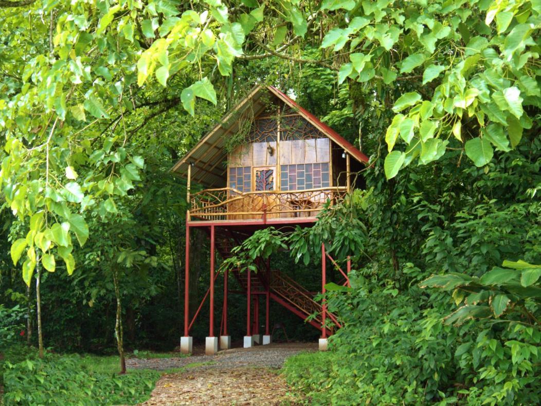 Bio Thermales Hot Springs Palmera Exterior foto