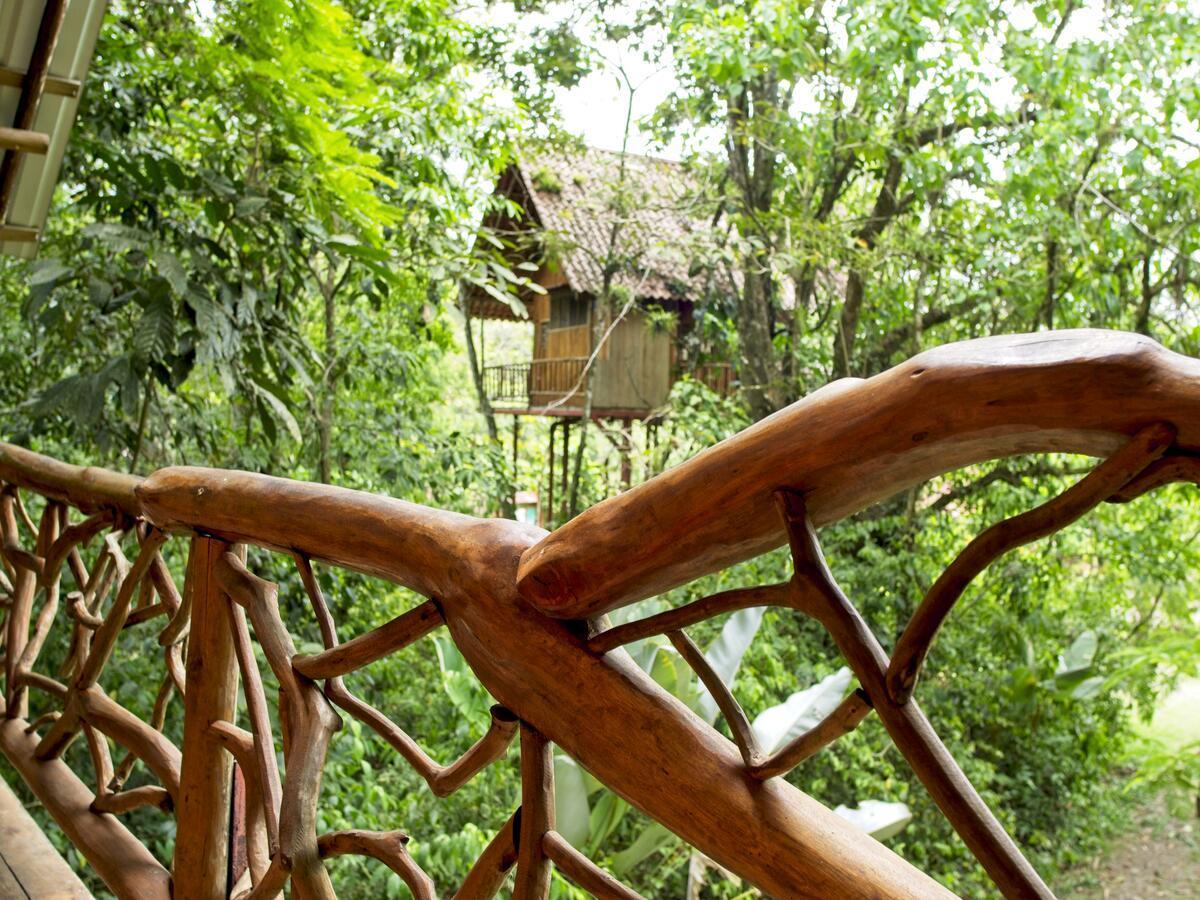 Bio Thermales Hot Springs Palmera Exterior foto